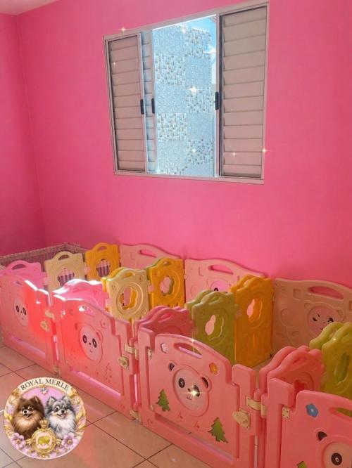 Nossa casa / Our home